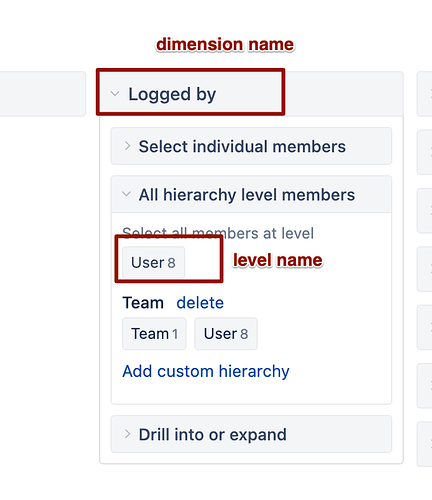 dimension and level names