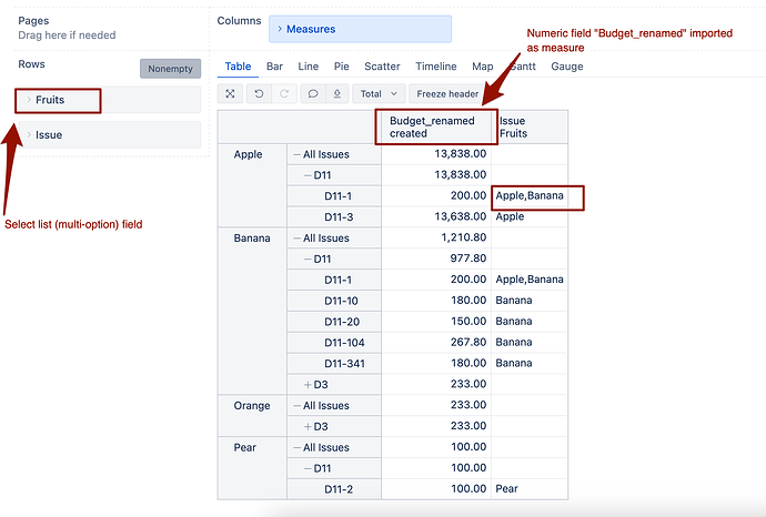 issue multi value field options