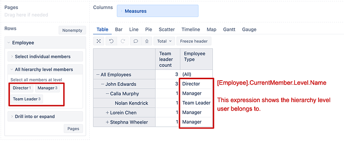 eazyBI hierarchy level name